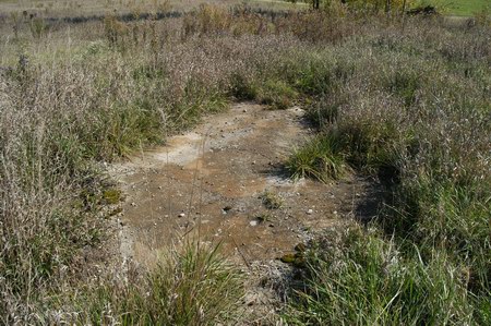 Coldwater Drive-In Theatre - Screen Foundation (newer photo)